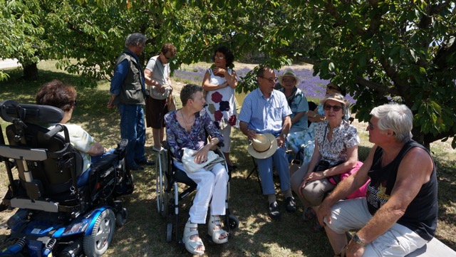 sous les arbres