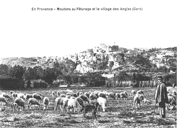 14 pied du village 1902